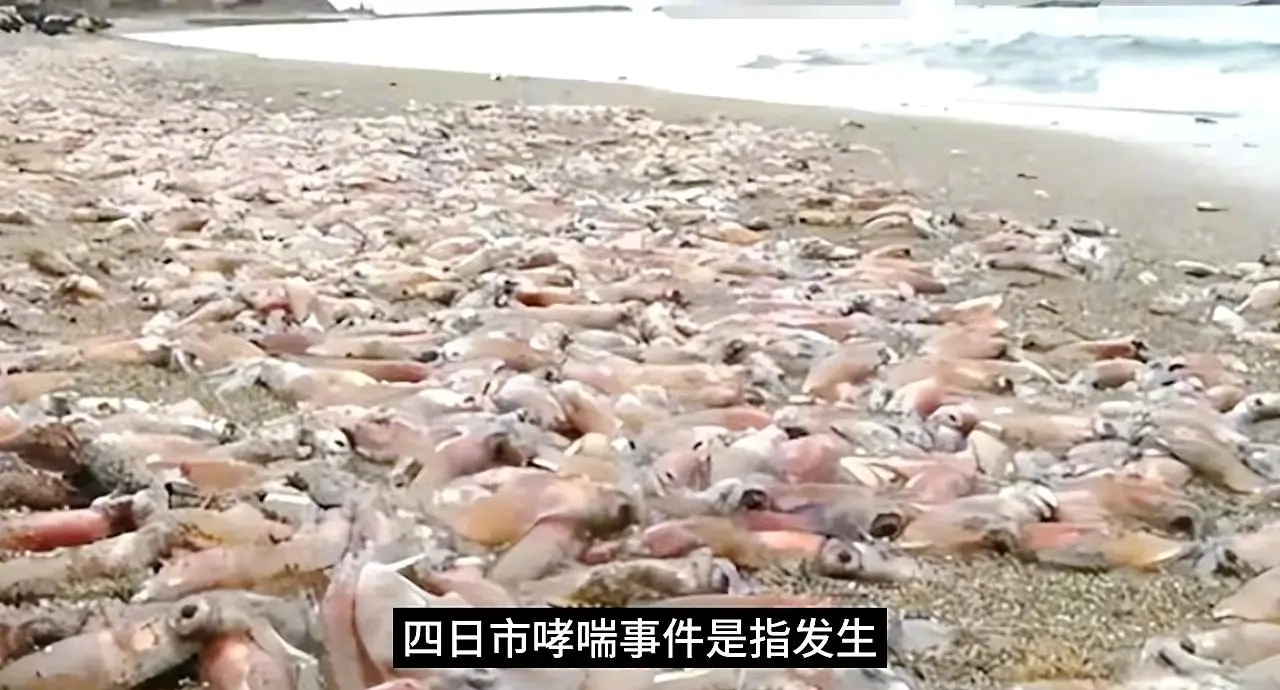 寒武纪42.87亿元劳动纠纷的三重警示