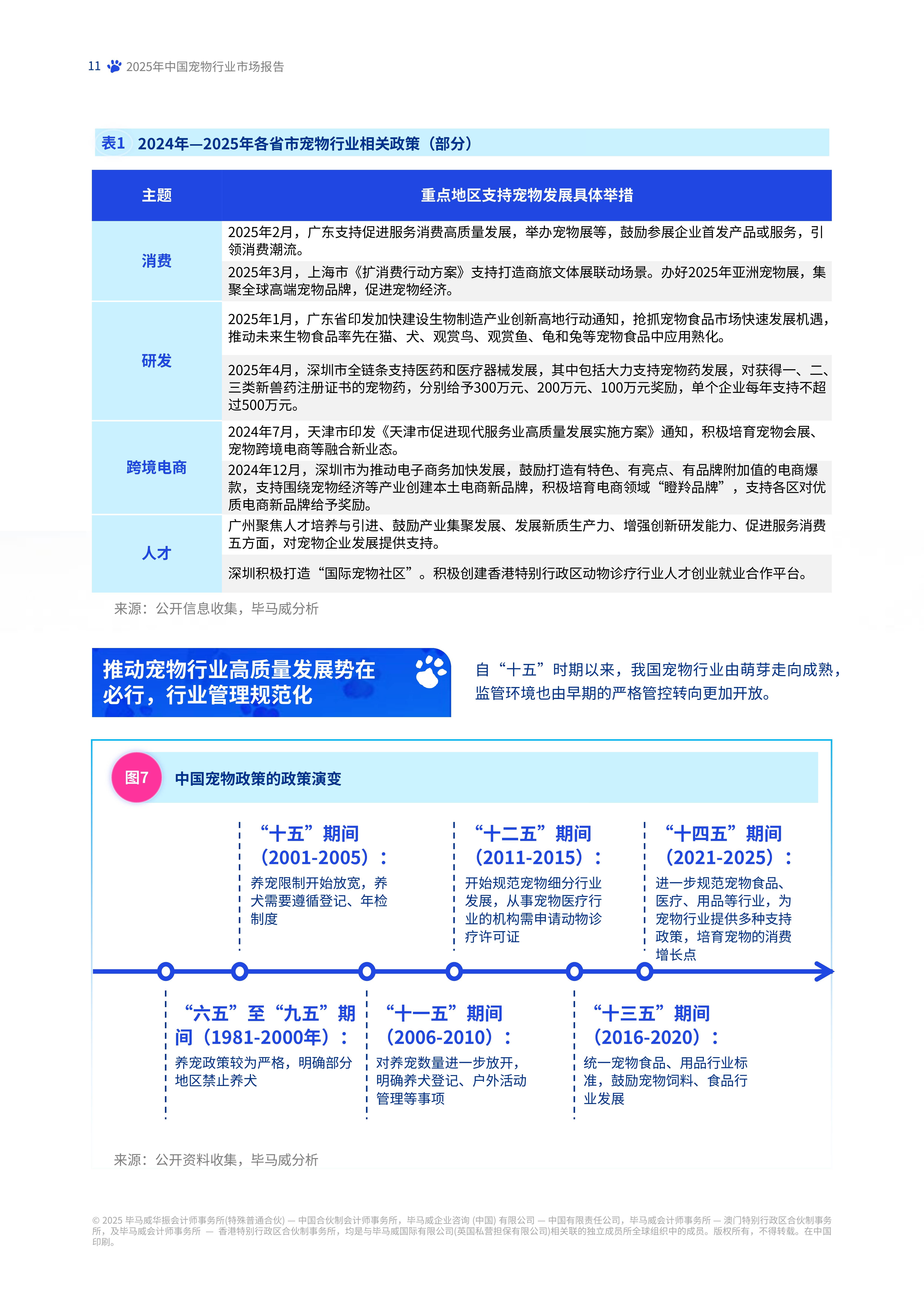 双十一“它经济”热潮：年轻人血本氪金，“毛孩子”过得好上加好