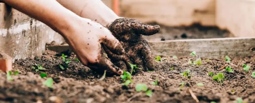 供给不足,场景短板如何补