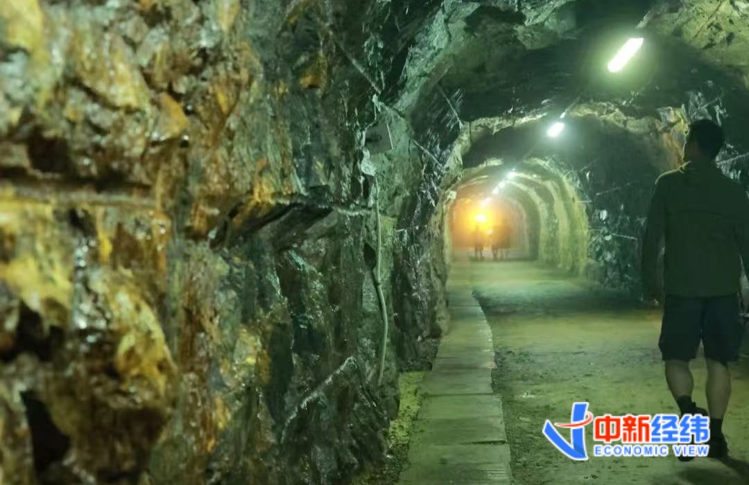 21调查｜大学生跑步成App广告金矿 2.88元/年