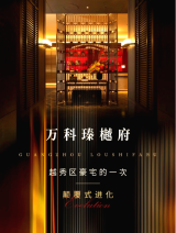 万科黄力平：深铁将与各方一起努力帮助万科有序化解风险