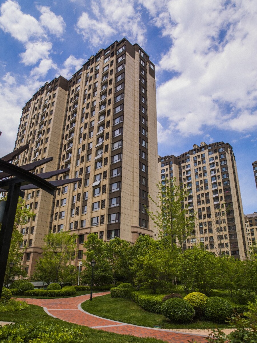 万科黄力平：深铁将与各方一起努力帮助万科有序化解风险