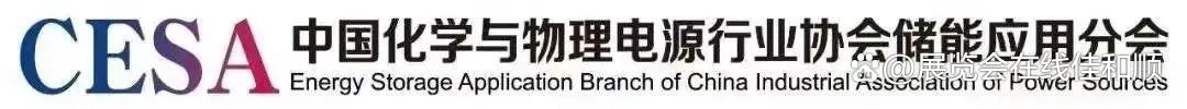 CESA储能应用分会刘勇：让新型储能享受“同工同酬”