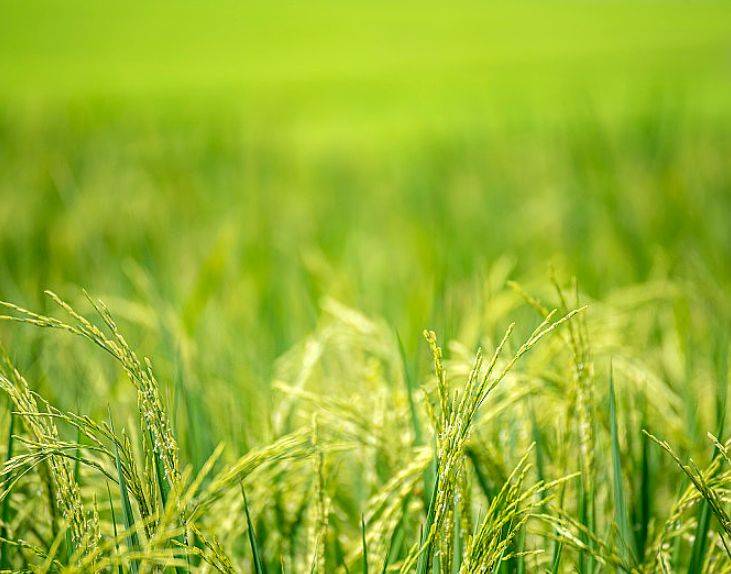 津荣天宇：国家级标杆的绿色智能转型实践