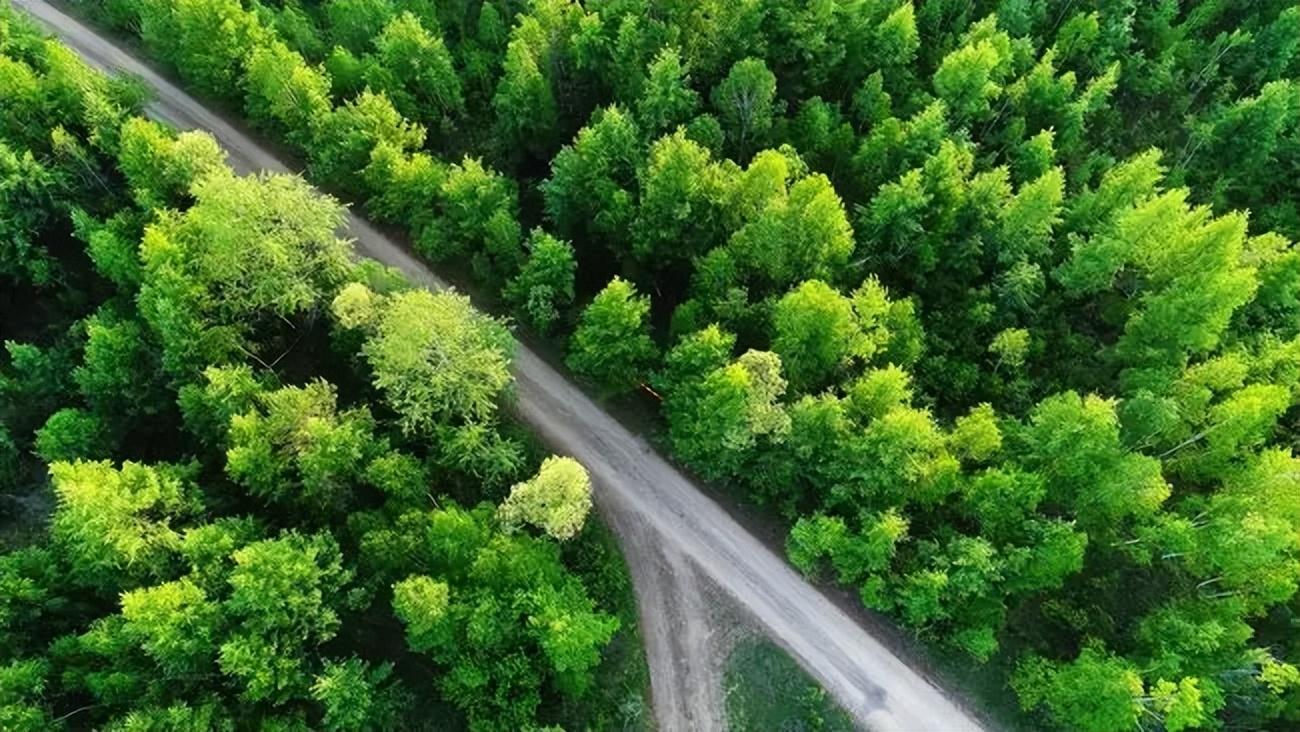津荣天宇：国家级标杆的绿色智能转型实践