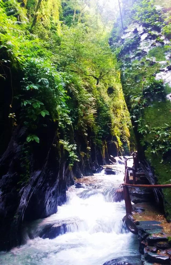 走出哀牢山：一颗花斑果48小时来到北京餐桌