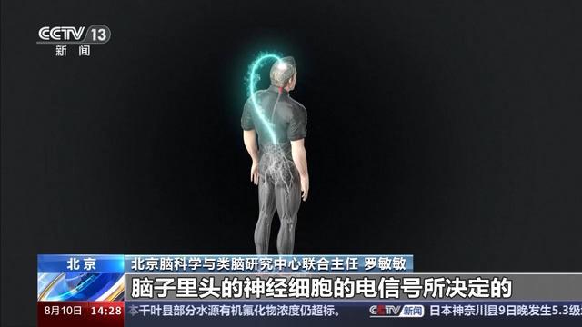 用“意念”对话未来?我在天大解锁脑机接口