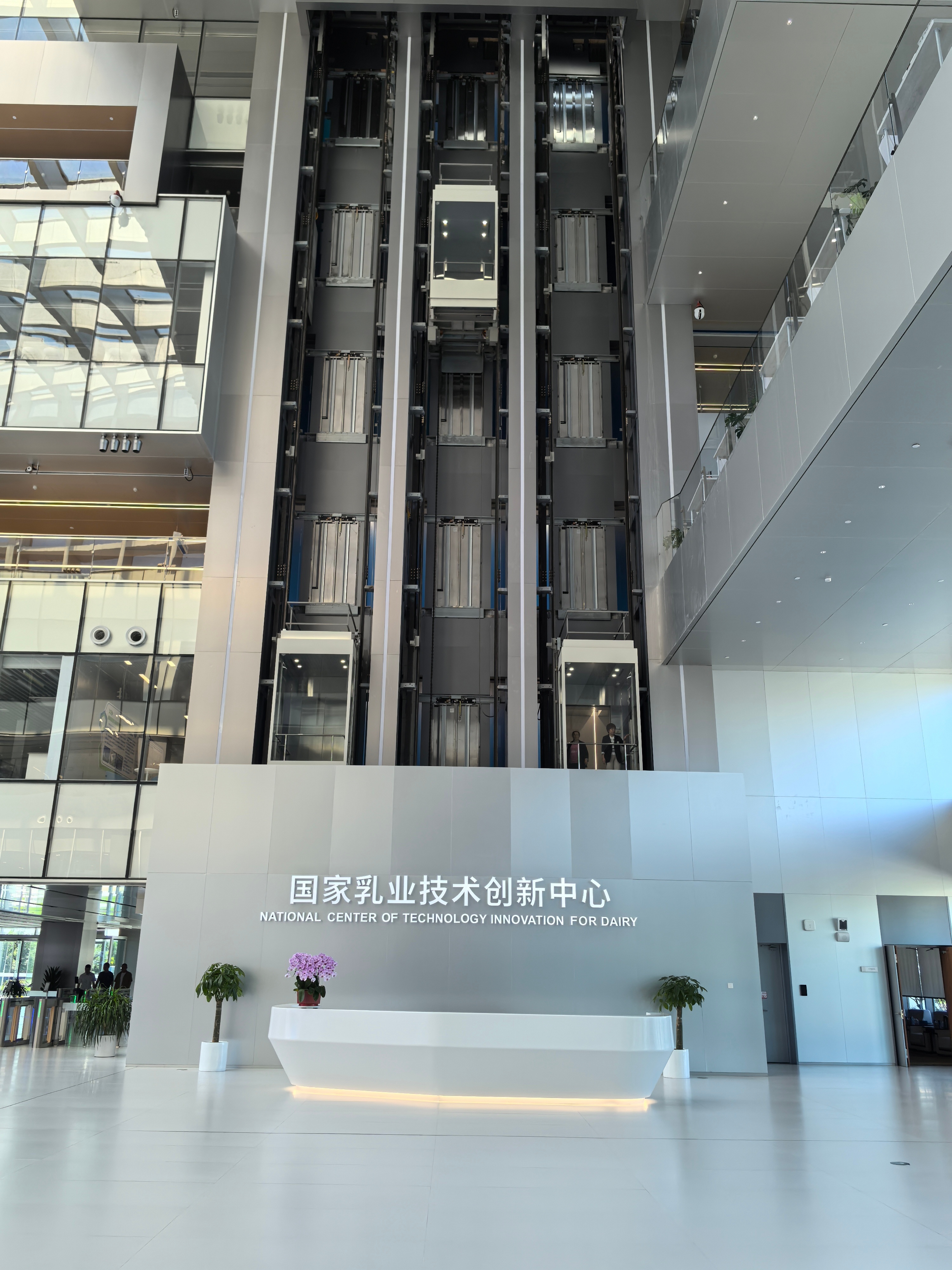 科学与健康|实现精准设计！科研新范式打造种业“中国芯”