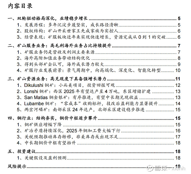 押注AI时代的“新石油”？矿服龙头金诚信的资源转型