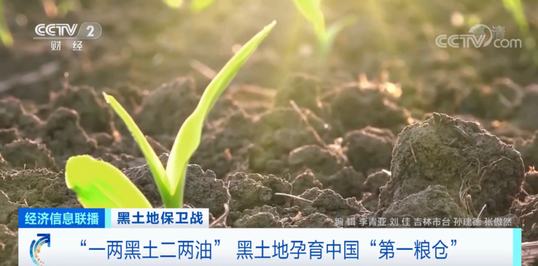 张春新离开沛华 在任期间理顺白酒业务定位