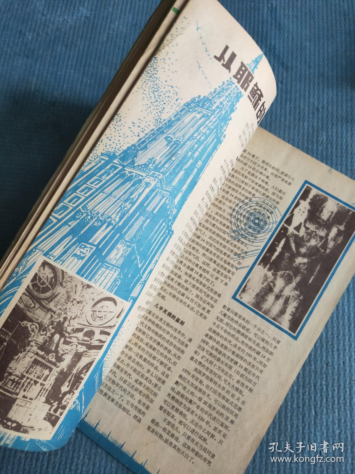 科学与健康 | 跨越三十余年！中国考察队与阿德利企鹅的南极之约