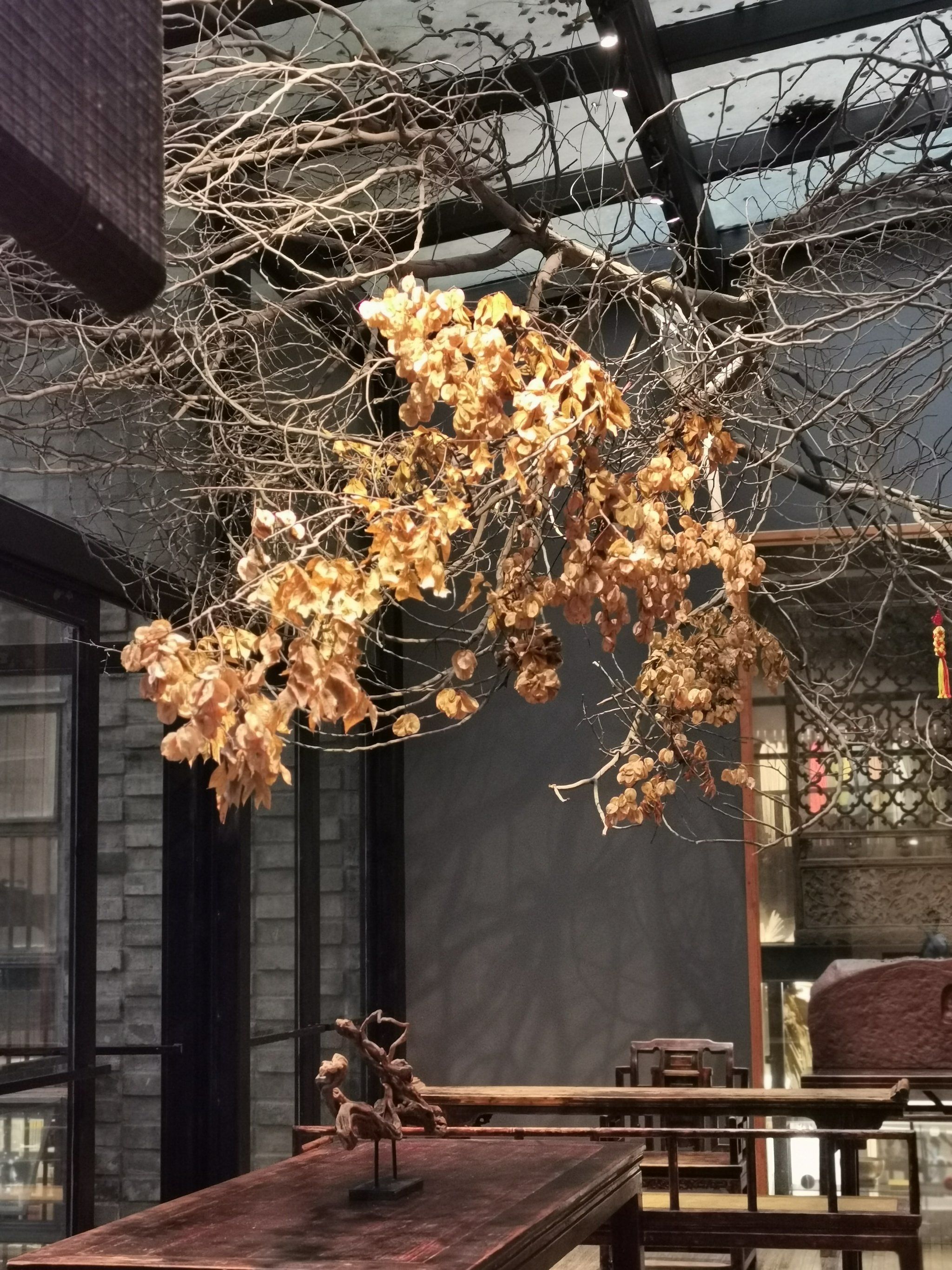 “花垣生物群”揭开显生宙第一次生物大灭绝面纱