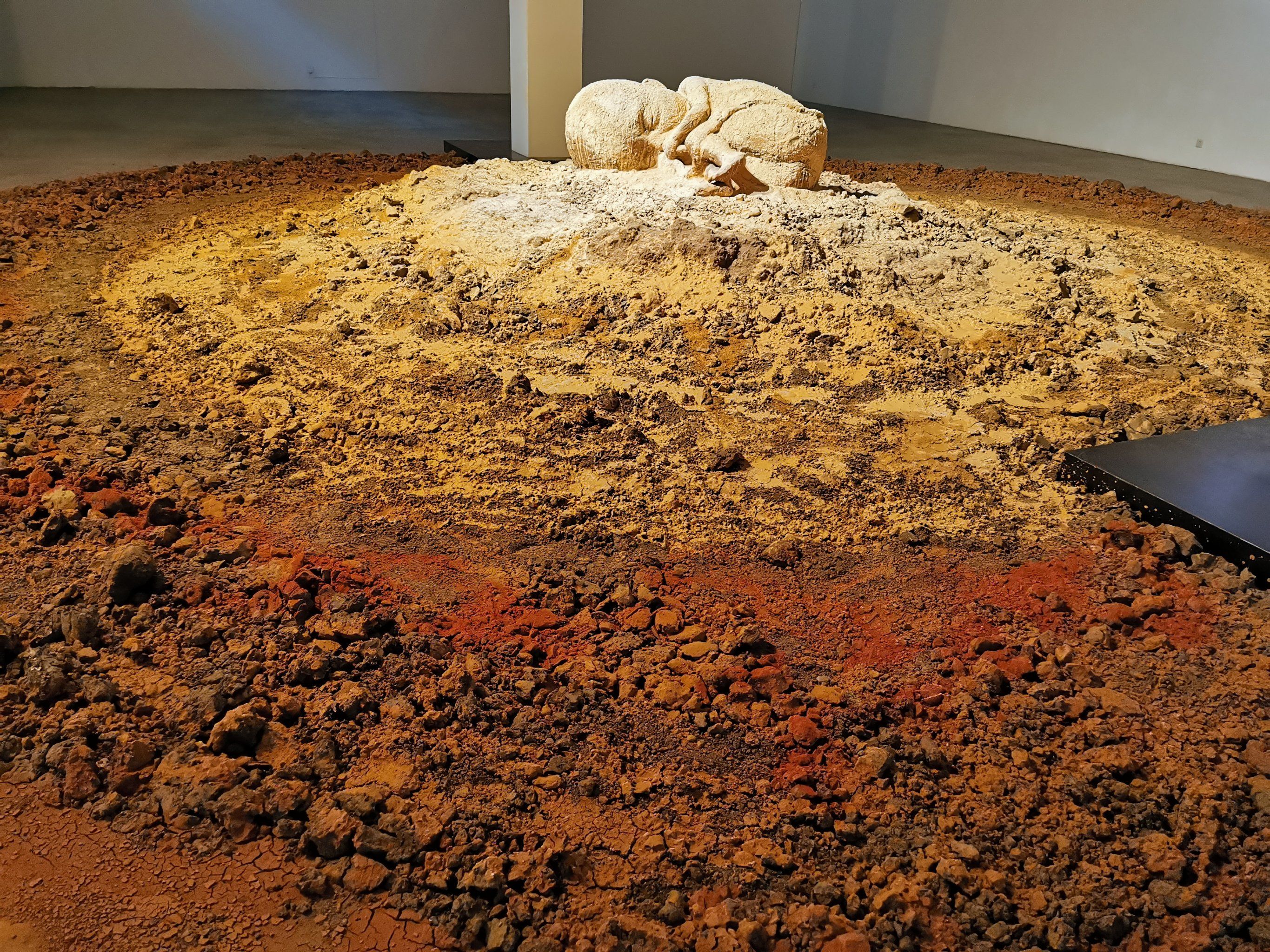 “花垣生物群”揭开显生宙第一次生物大灭绝面纱